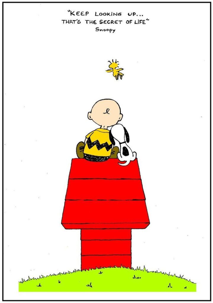 charlie brown quotes about happiness